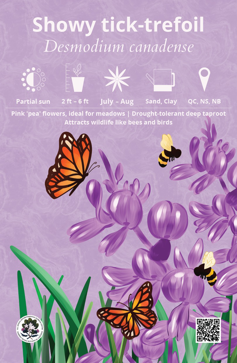 image has all the information of plant